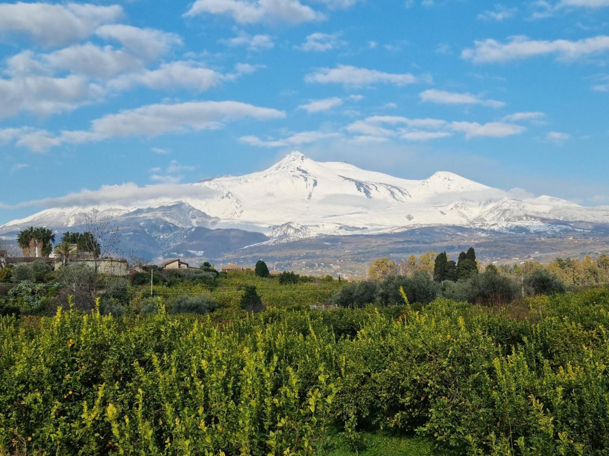 ג'יארה Luxury Relaxing Home With Heated Pool Near Catania, Taormina, The Sea And Mount Etna מראה חיצוני תמונה